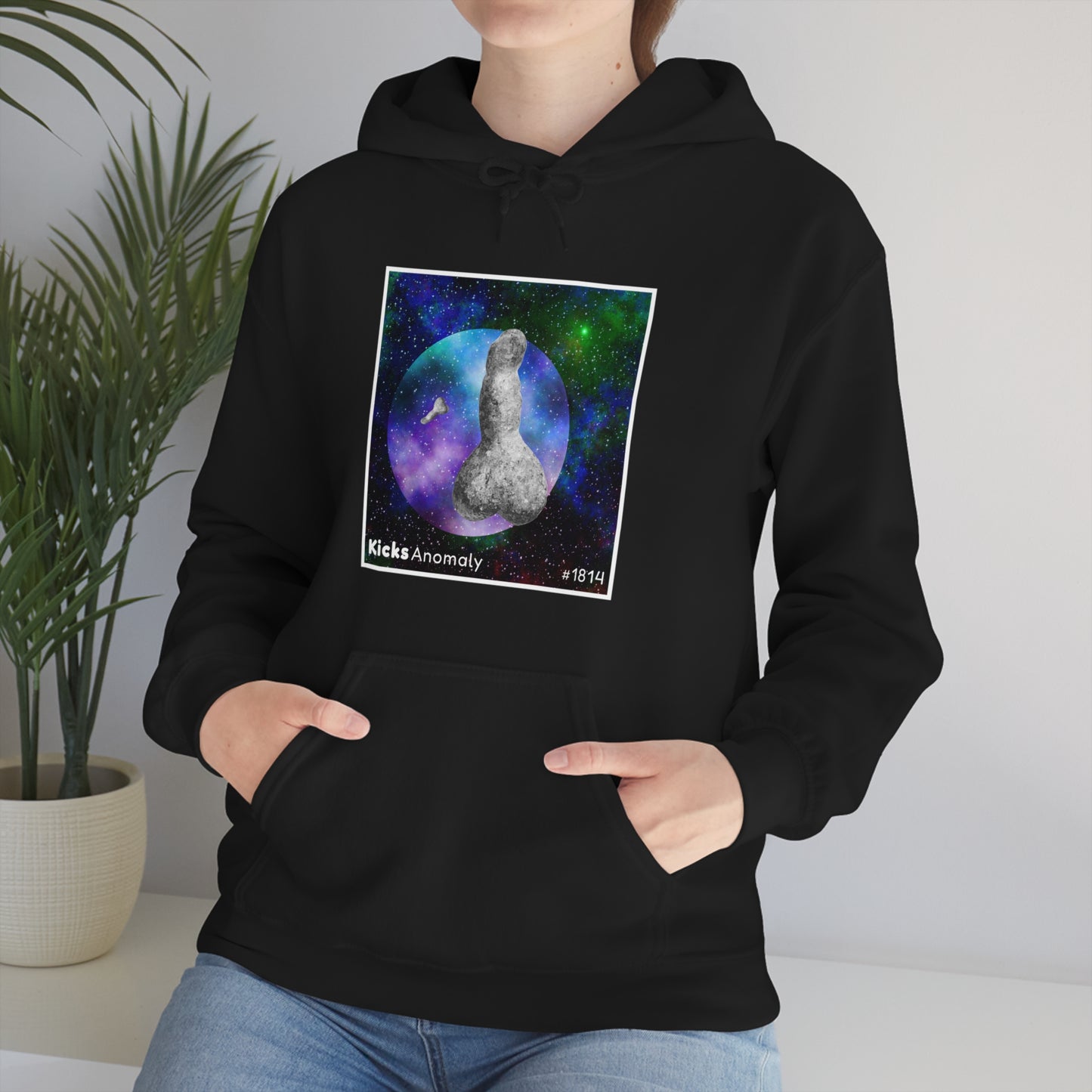 Hooded Sweatshirt - Kicks Anomaly Strangeitude Design