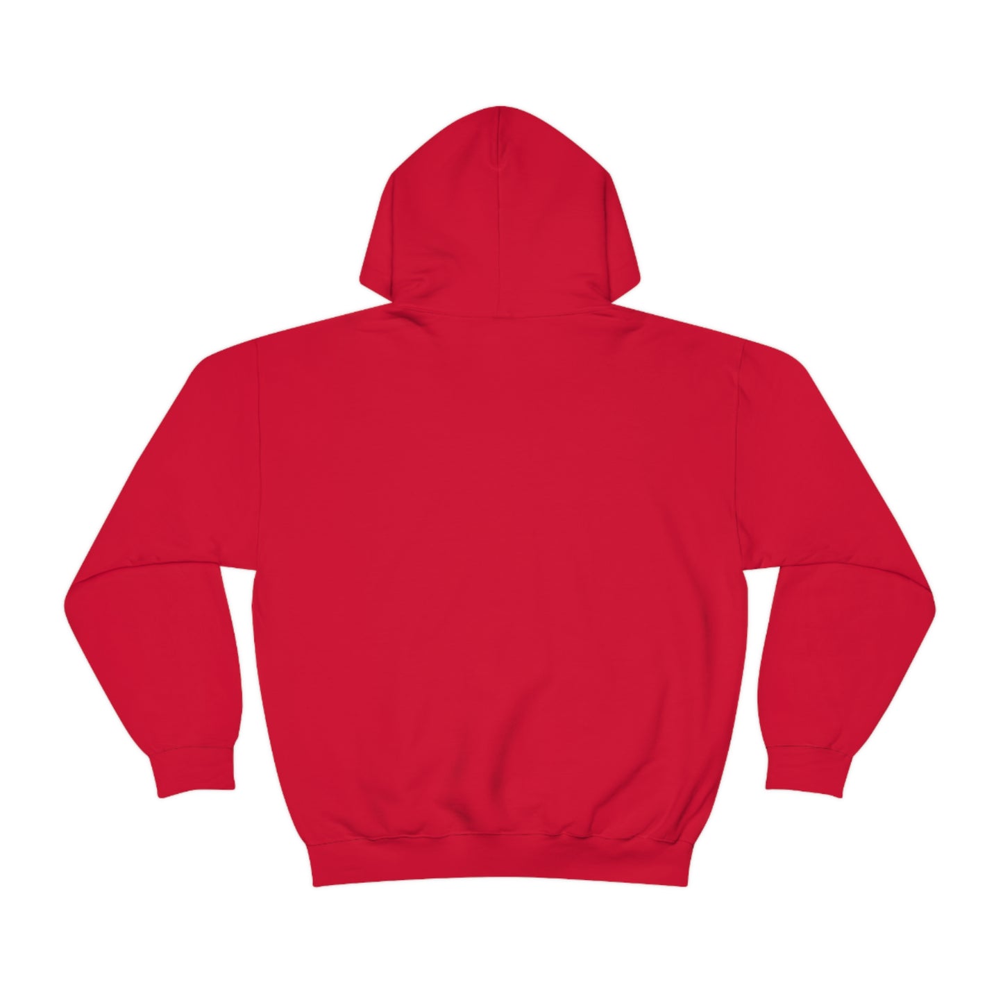 Hooded Sweatshirt - Kicks Anomaly Strangeitude Design