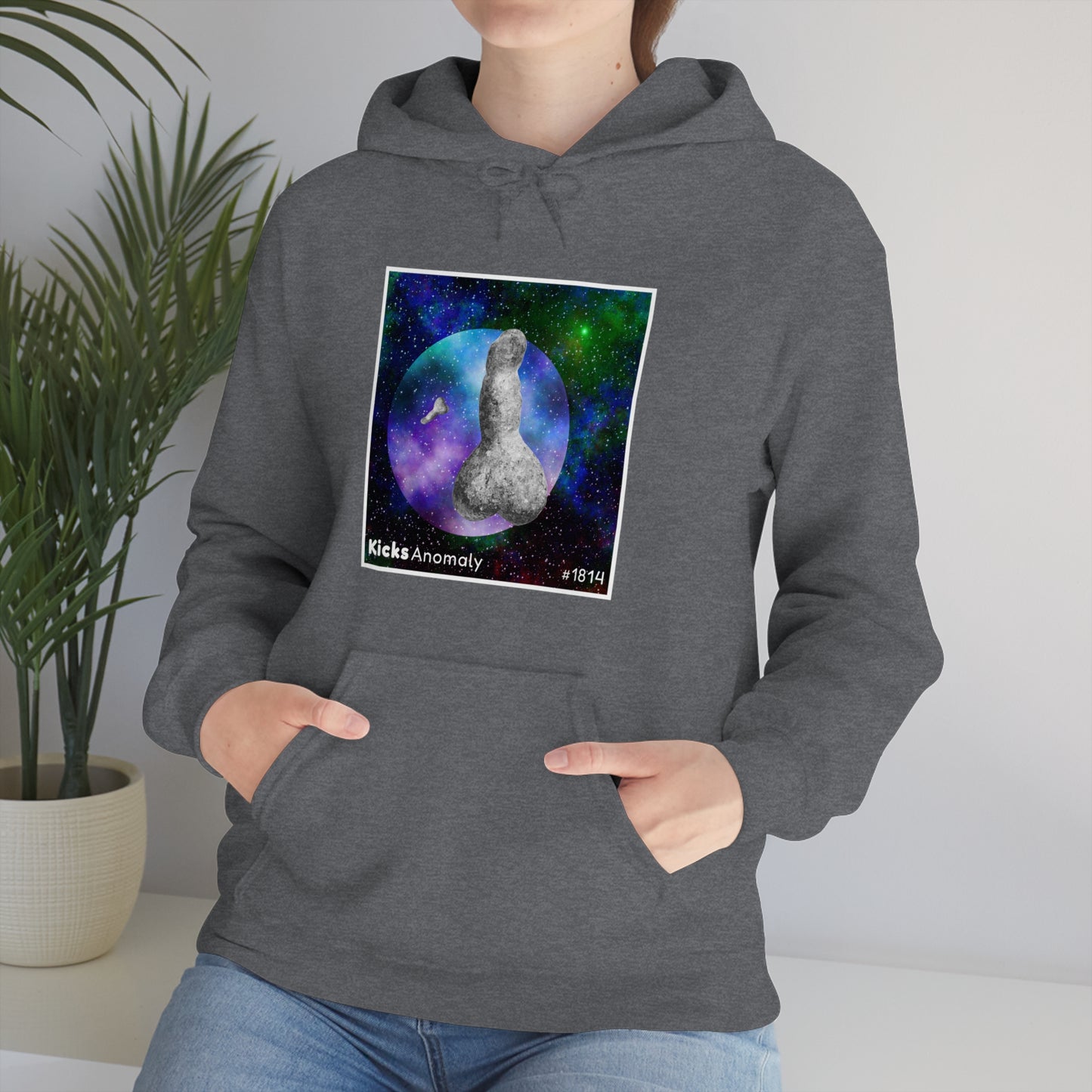 Hooded Sweatshirt - Kicks Anomaly Strangeitude Design