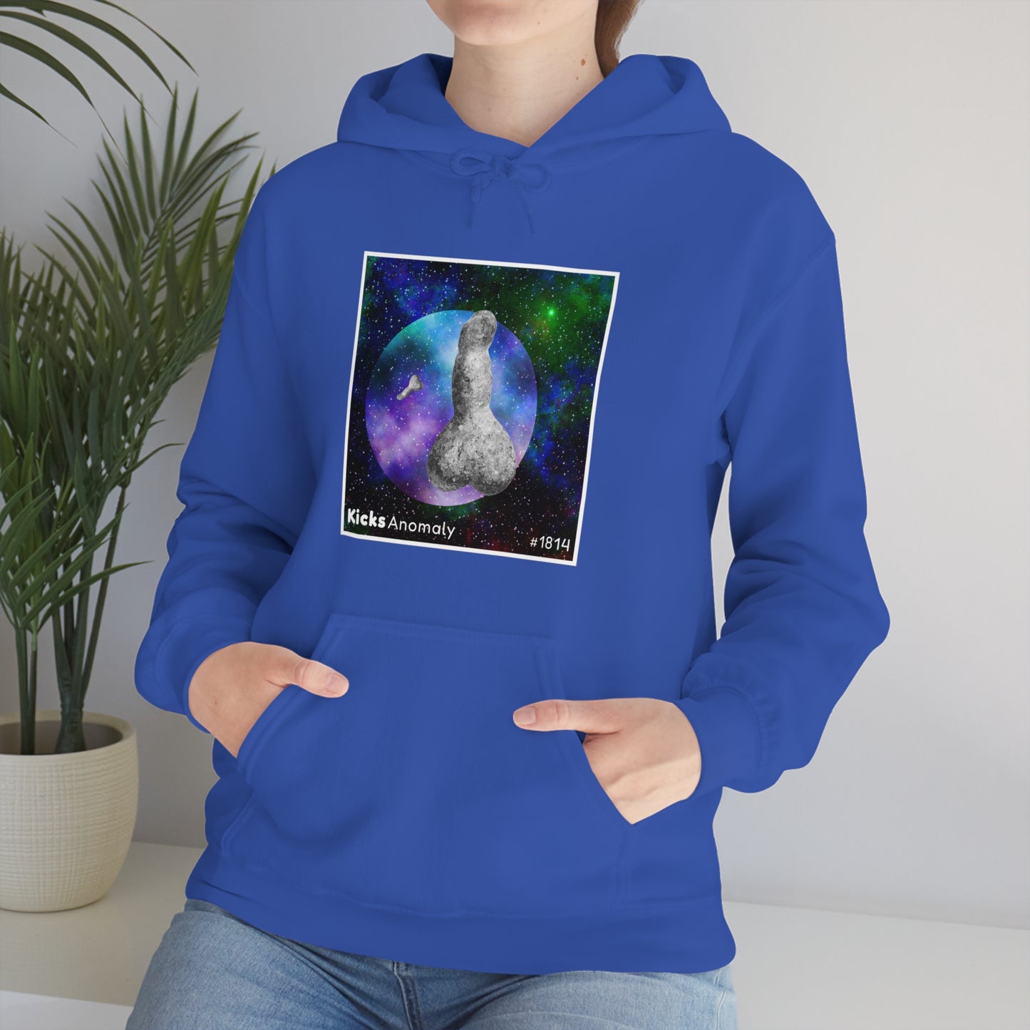 Hooded Sweatshirt - Kicks Anomaly Strangeitude Design