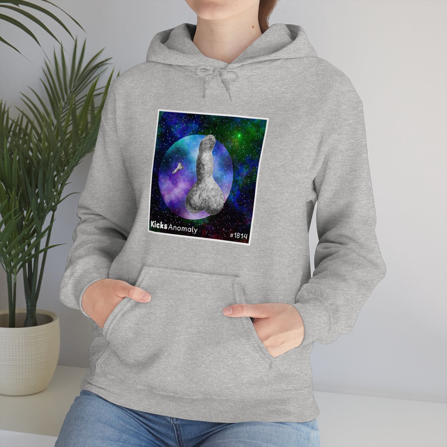 Hooded Sweatshirt - Kicks Anomaly Strangeitude Design